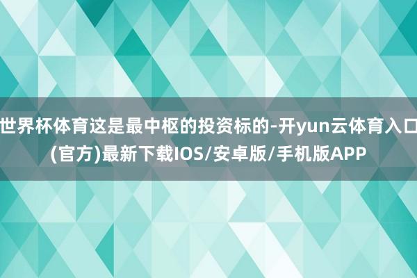 世界杯体育这是最中枢的投资标的-开yun云体育入口(官方)最新下载IOS/安卓版/手机版APP